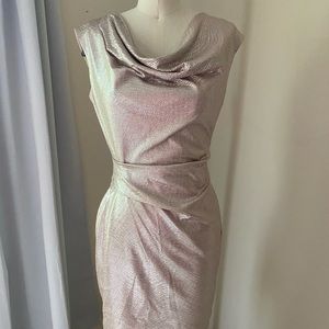 Vince Camuto Formal Fitted Dress